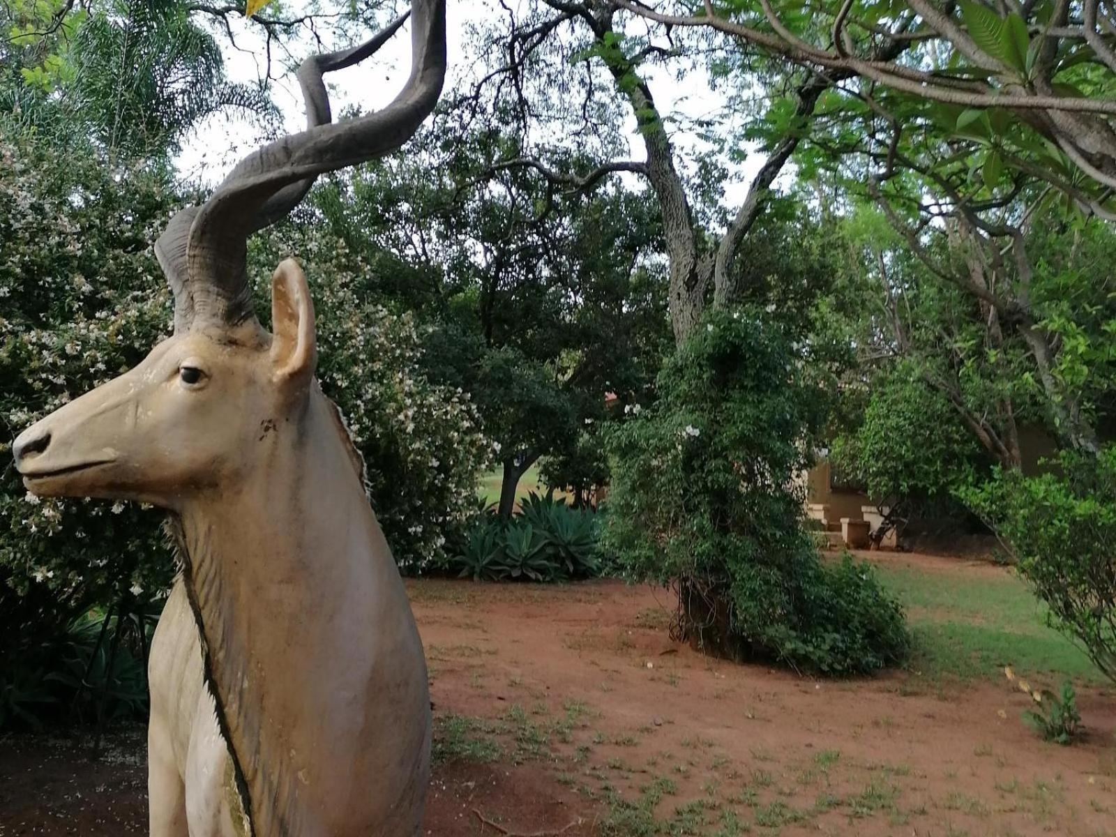 Kettle Guest Lodge Rustenburg Exterior foto